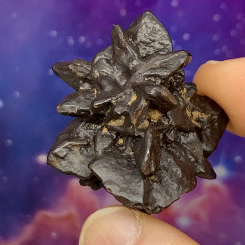 Prophecy Stone 31.6 grams-Moldavite Life