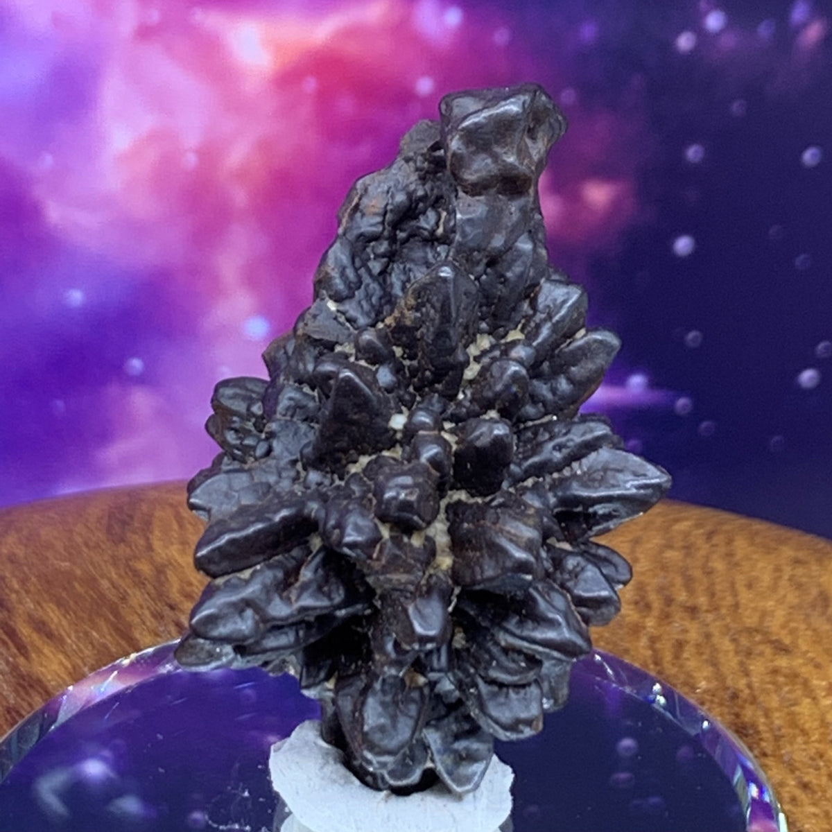 Prophecy Stone 31.7 grams-Moldavite Life