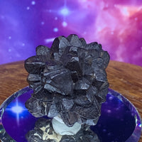 Prophecy Stone 32.1 grams-Moldavite Life