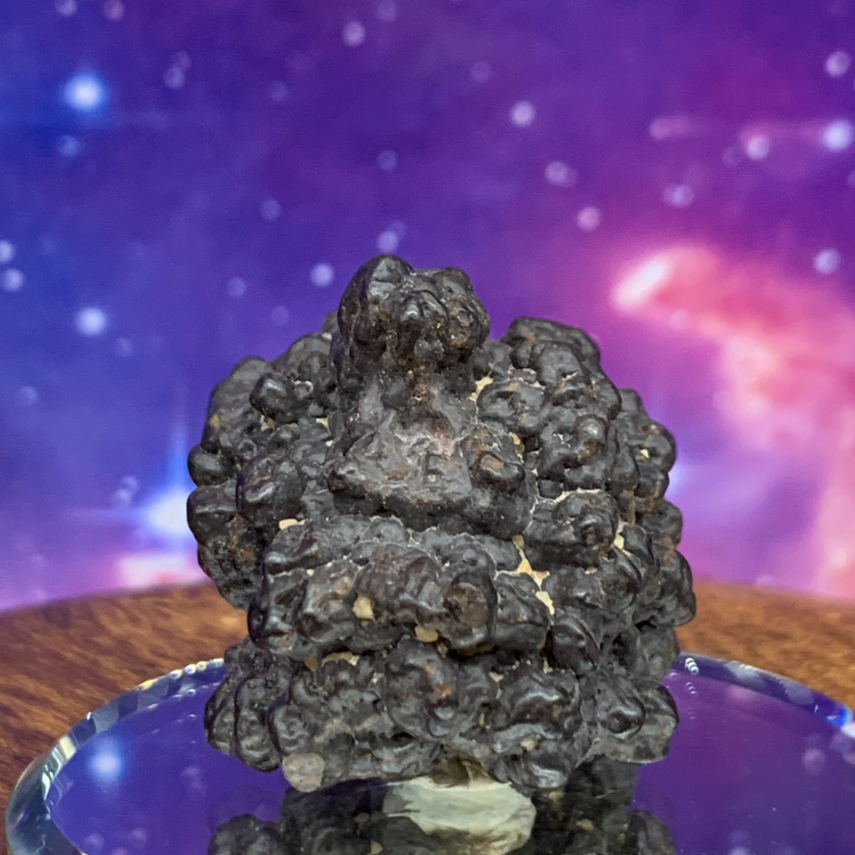 Prophecy Stone 32.2 grams-Moldavite Life