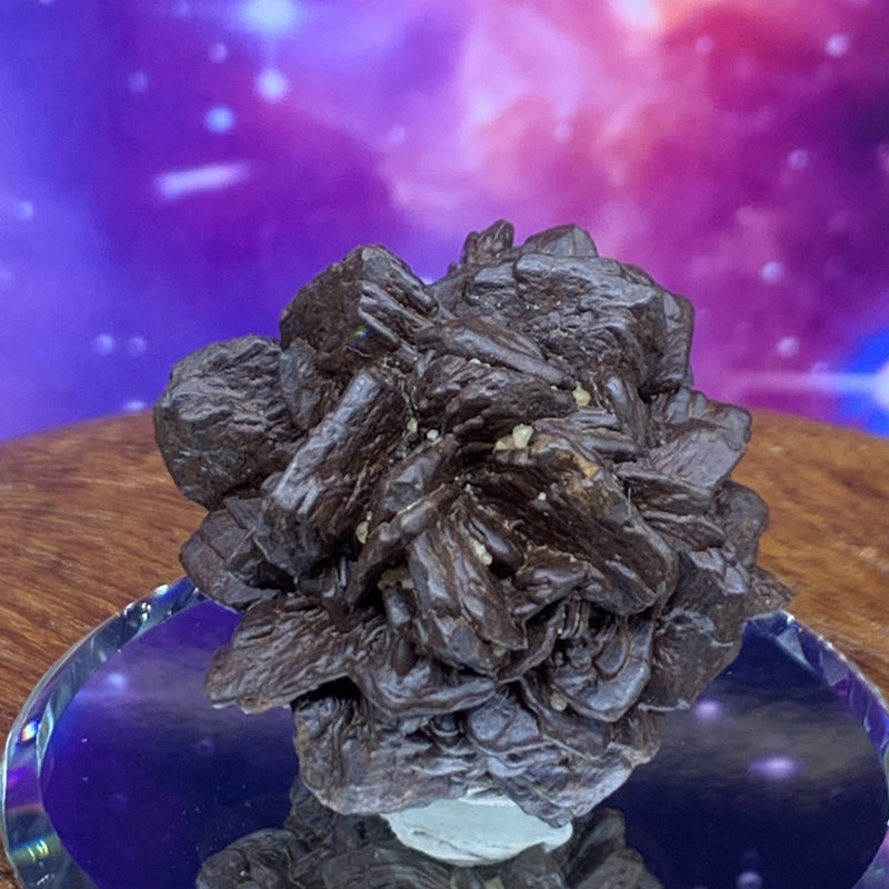 Prophecy Stone 35.9 grams-Moldavite Life