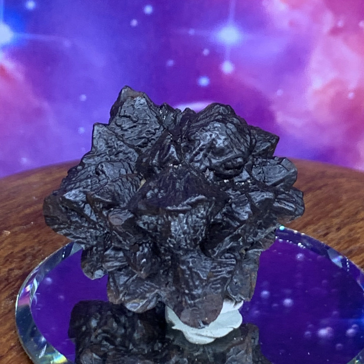 Prophecy Stone 40 grams-Moldavite Life