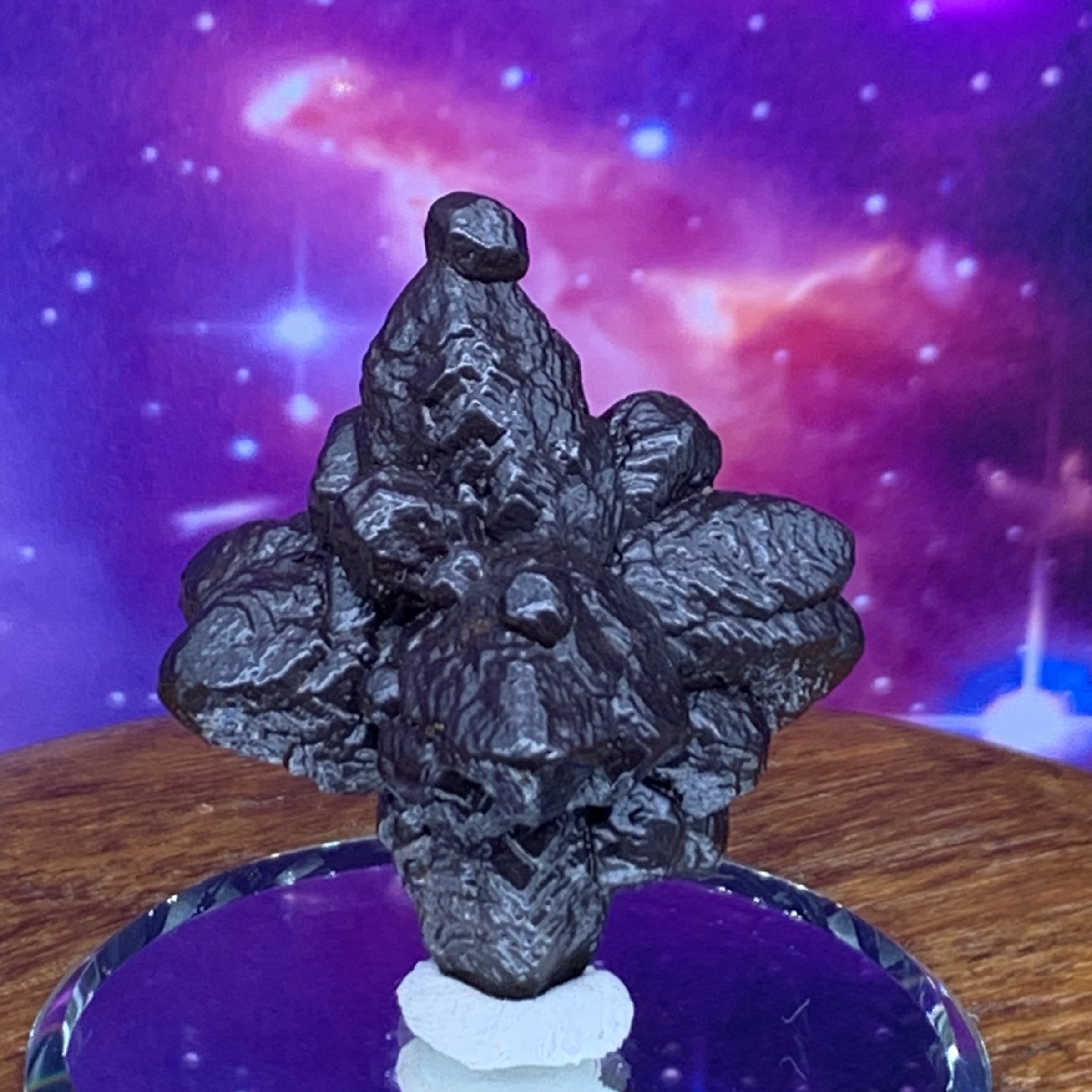 Prophecy Stone 40 grams-Moldavite Life