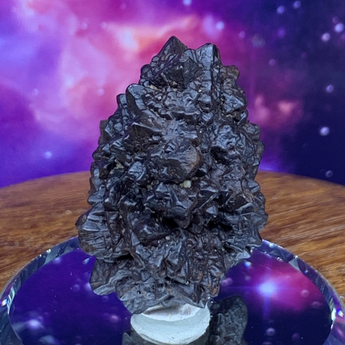 Prophecy Stone 42 grams-Moldavite Life