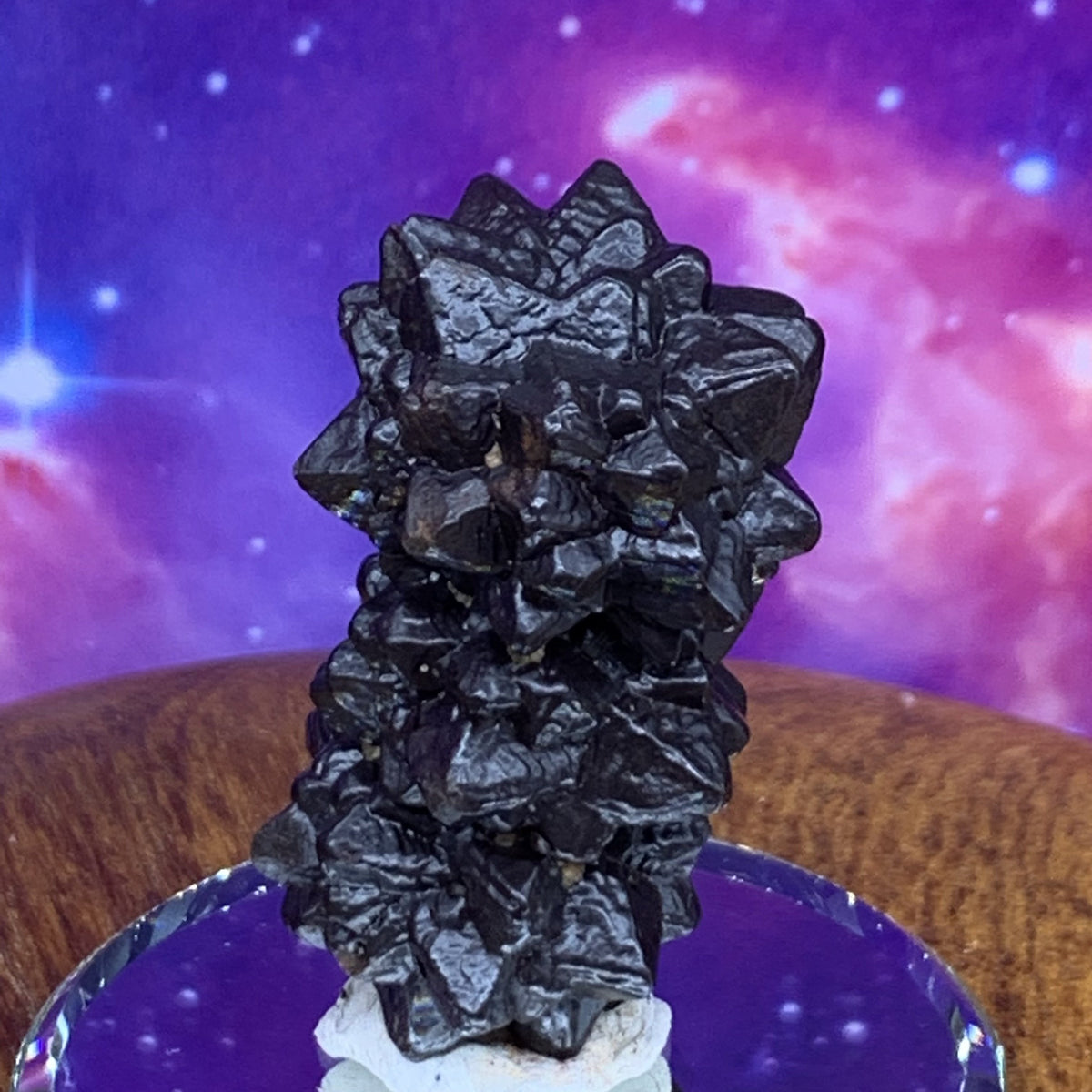 Prophecy Stone 42.6 grams-Moldavite Life