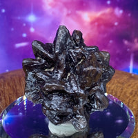 Prophecy Stone 43.8 grams-Moldavite Life