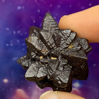 Prophecy Stone 44.1 grams-Moldavite Life