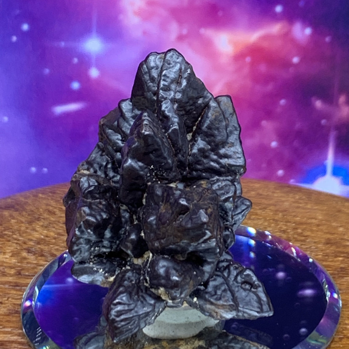 Prophecy Stone 45.9 grams-Moldavite Life