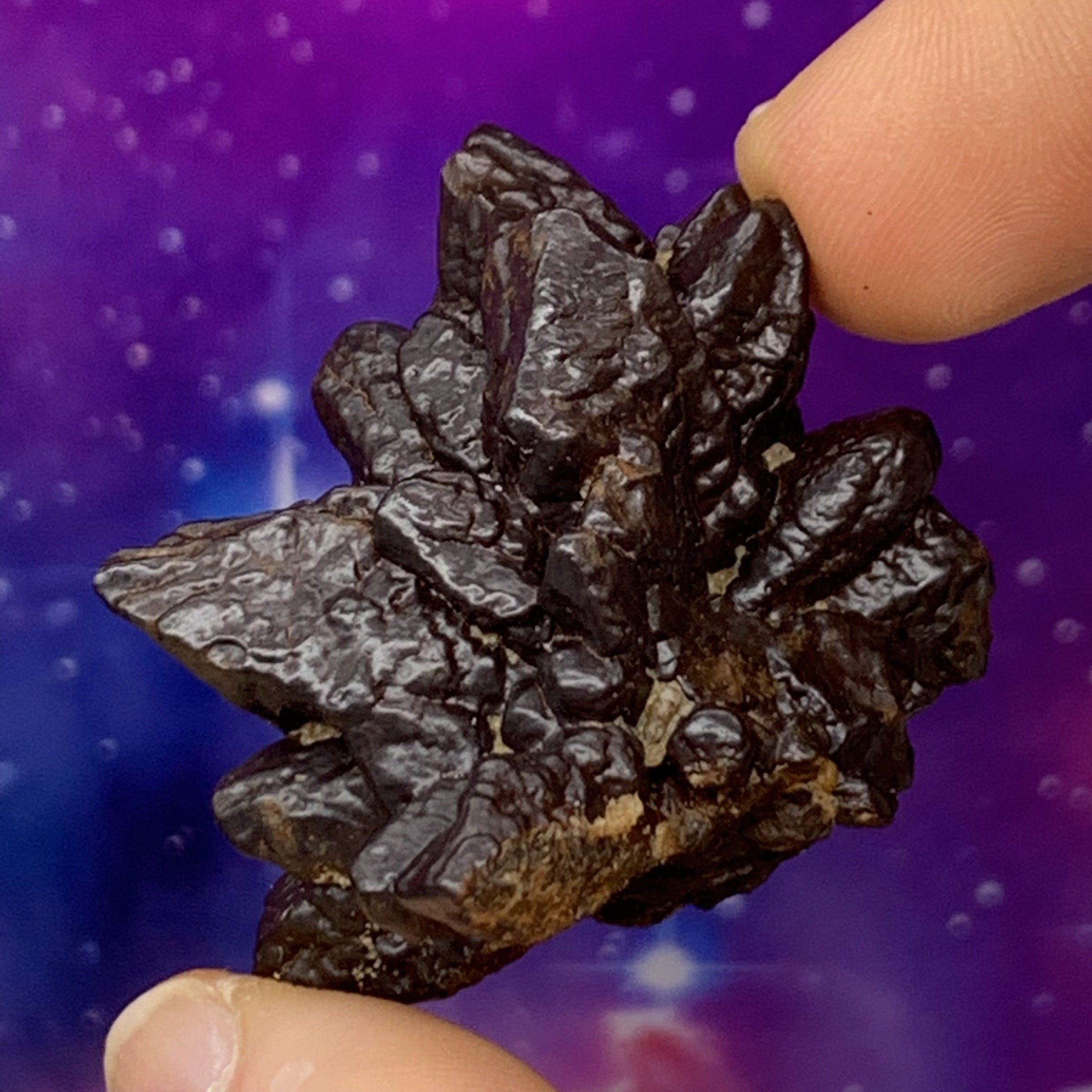 Prophecy Stone 45.9 grams-Moldavite Life
