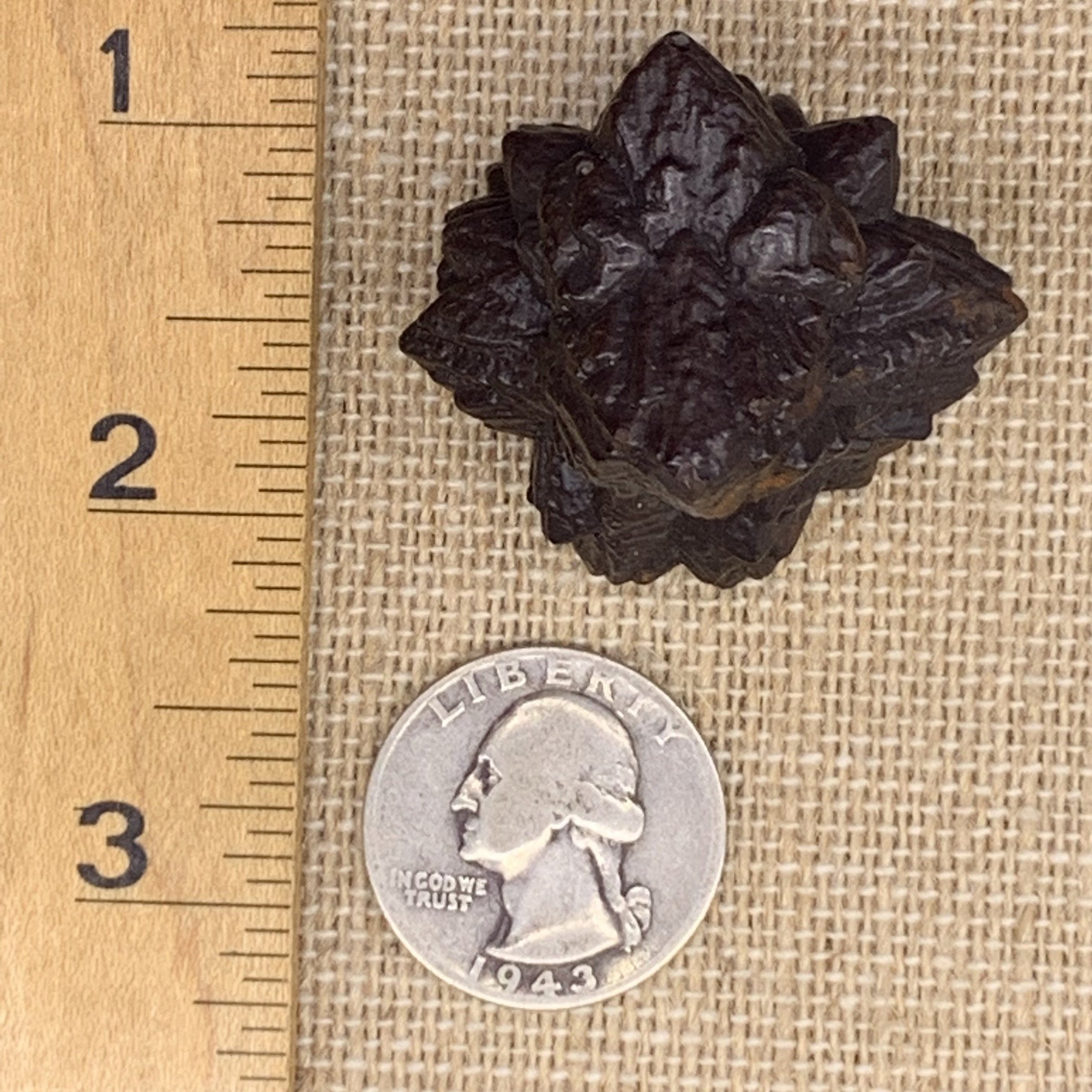 Prophecy Stone 48 grams-Moldavite Life