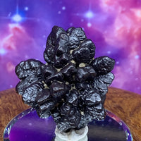 Prophecy Stone 48.3 grams-Moldavite Life