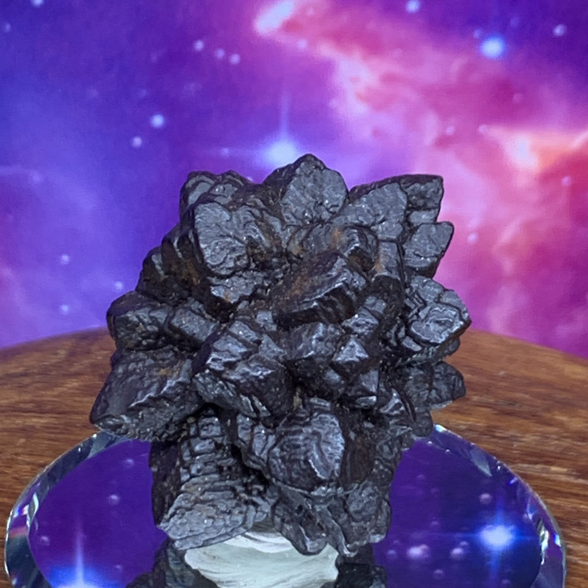 Prophecy Stone 49 grams-Moldavite Life