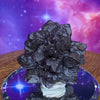 Prophecy Stone 49 grams-Moldavite Life