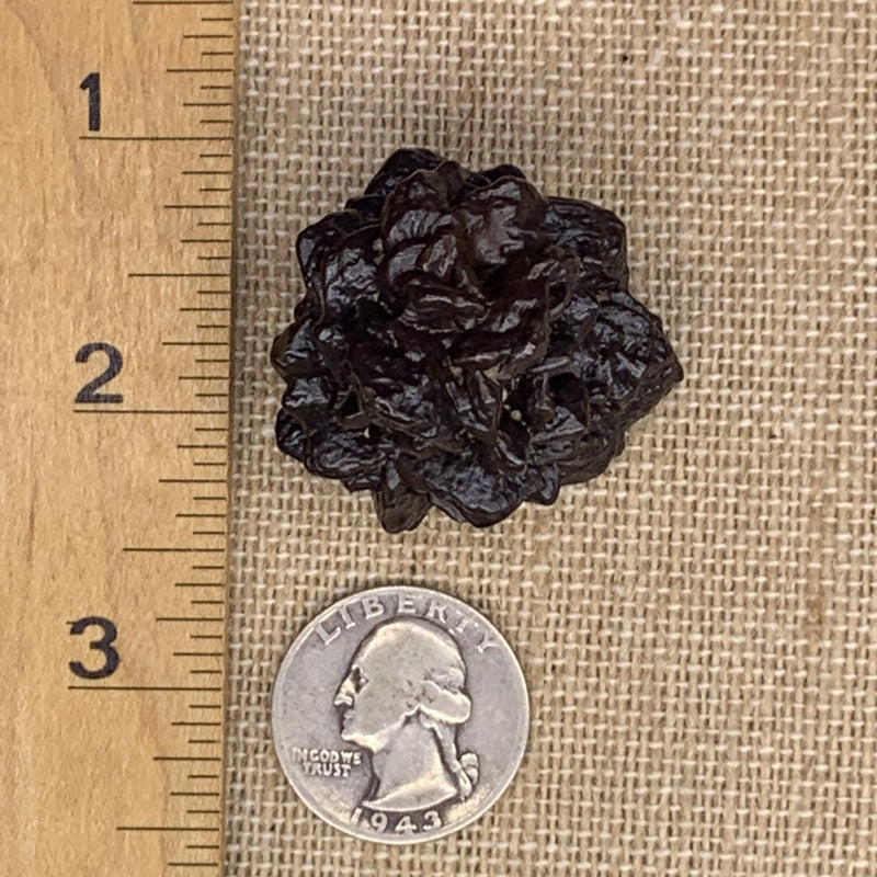 Prophecy Stone 50 grams-Moldavite Life