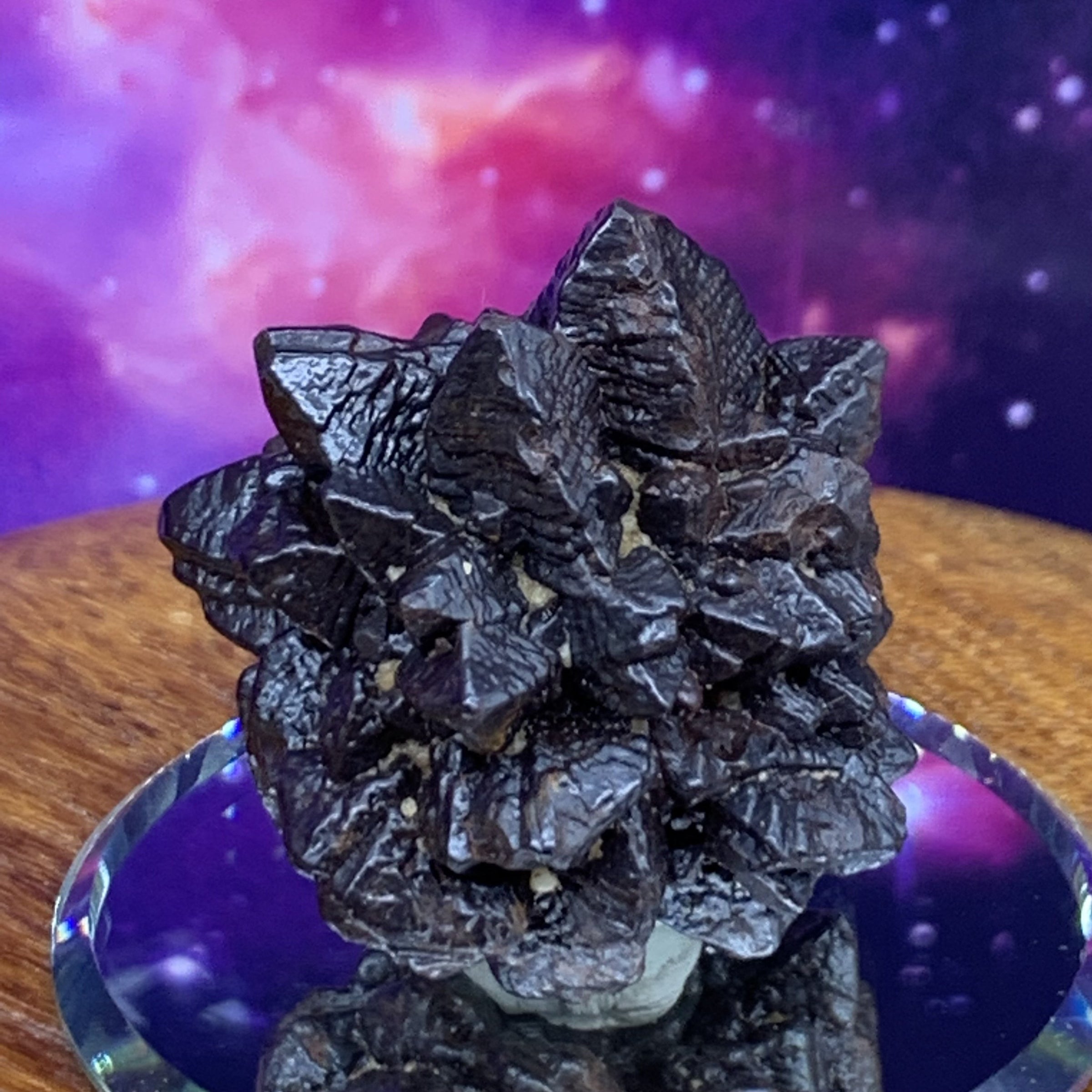 Prophecy Stone 51.6 grams-Moldavite Life