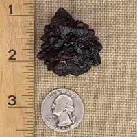 Prophecy Stone 51.6 grams-Moldavite Life