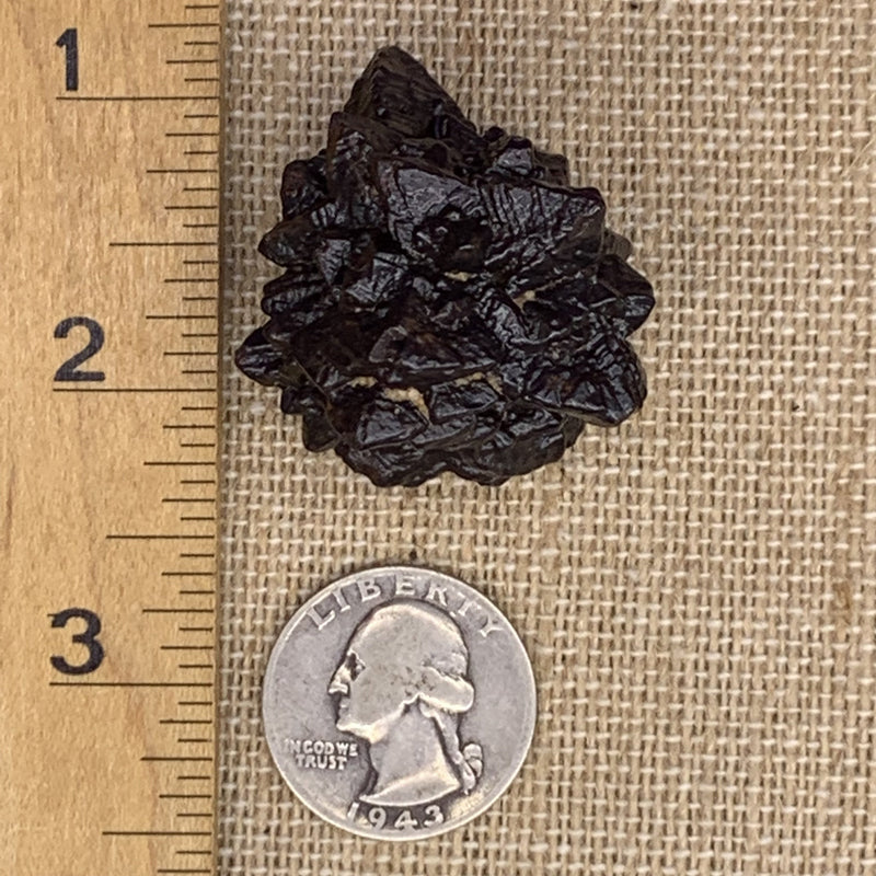 Prophecy Stone 51.6 grams-Moldavite Life