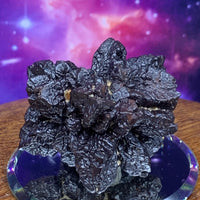 Prophecy Stone 57.8 grams-Moldavite Life