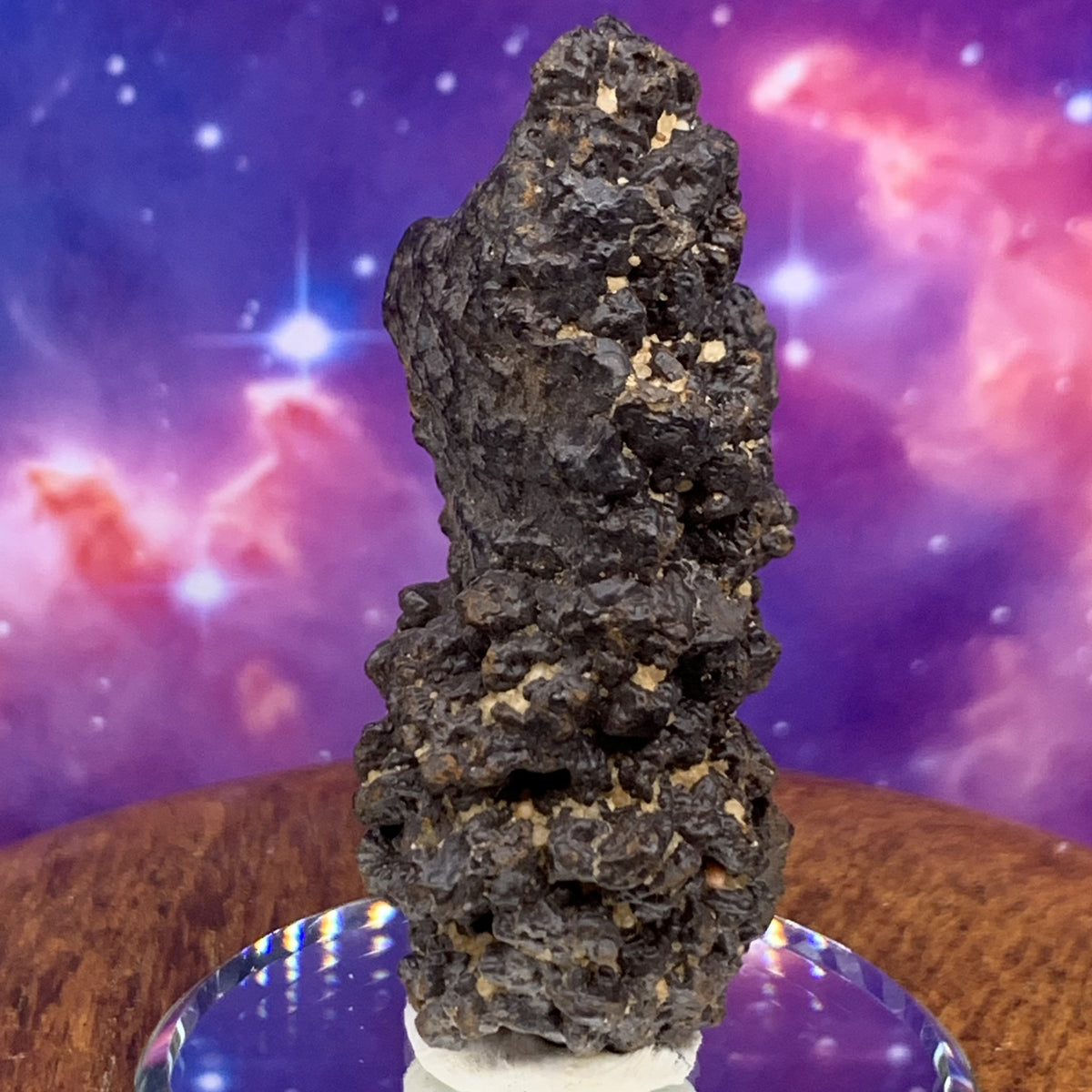 Prophecy Stone 60.4 grams-Moldavite Life
