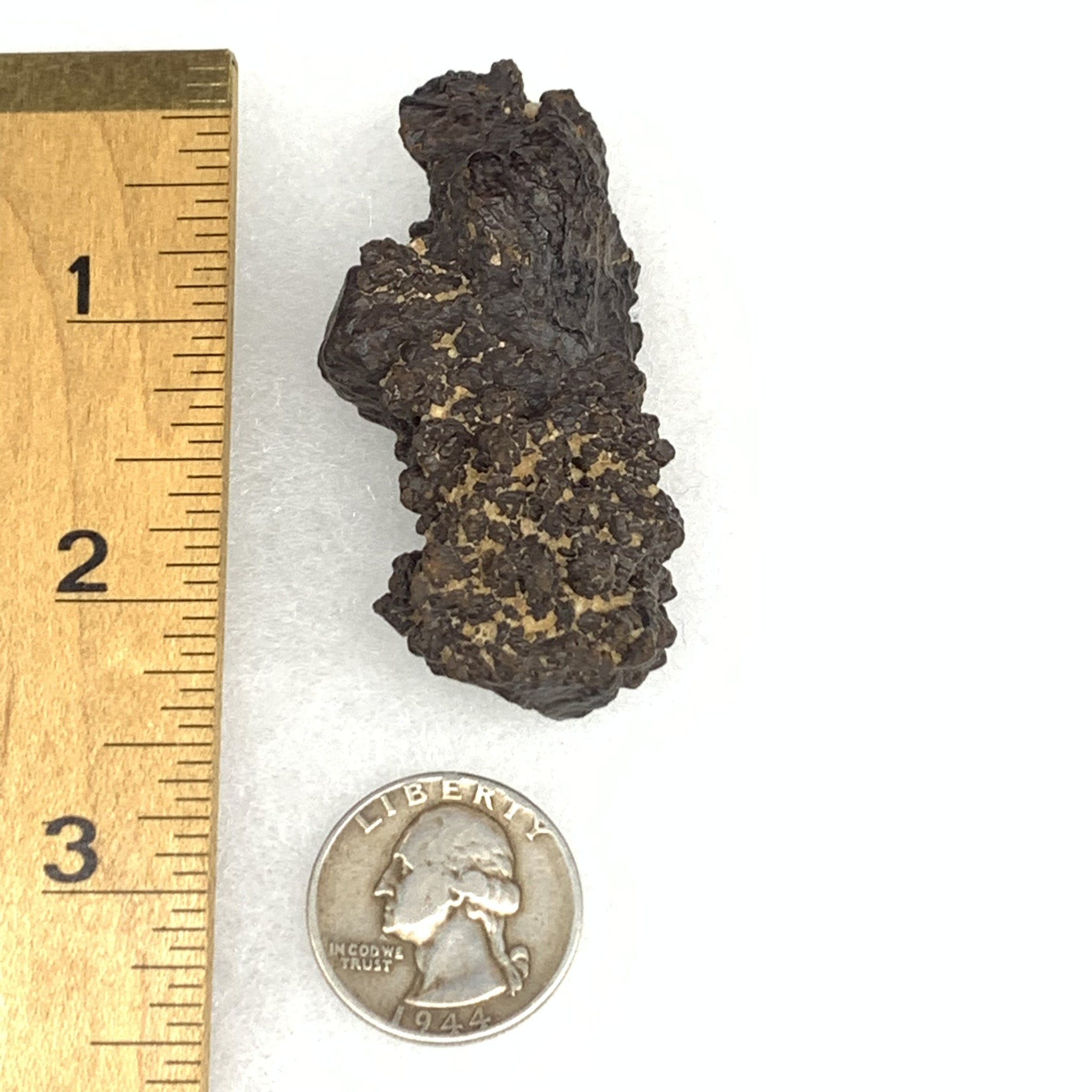 Prophecy Stone 60.4 grams-Moldavite Life