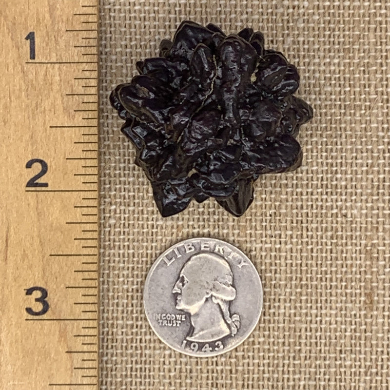 Prophecy Stone 61 grams-Moldavite Life