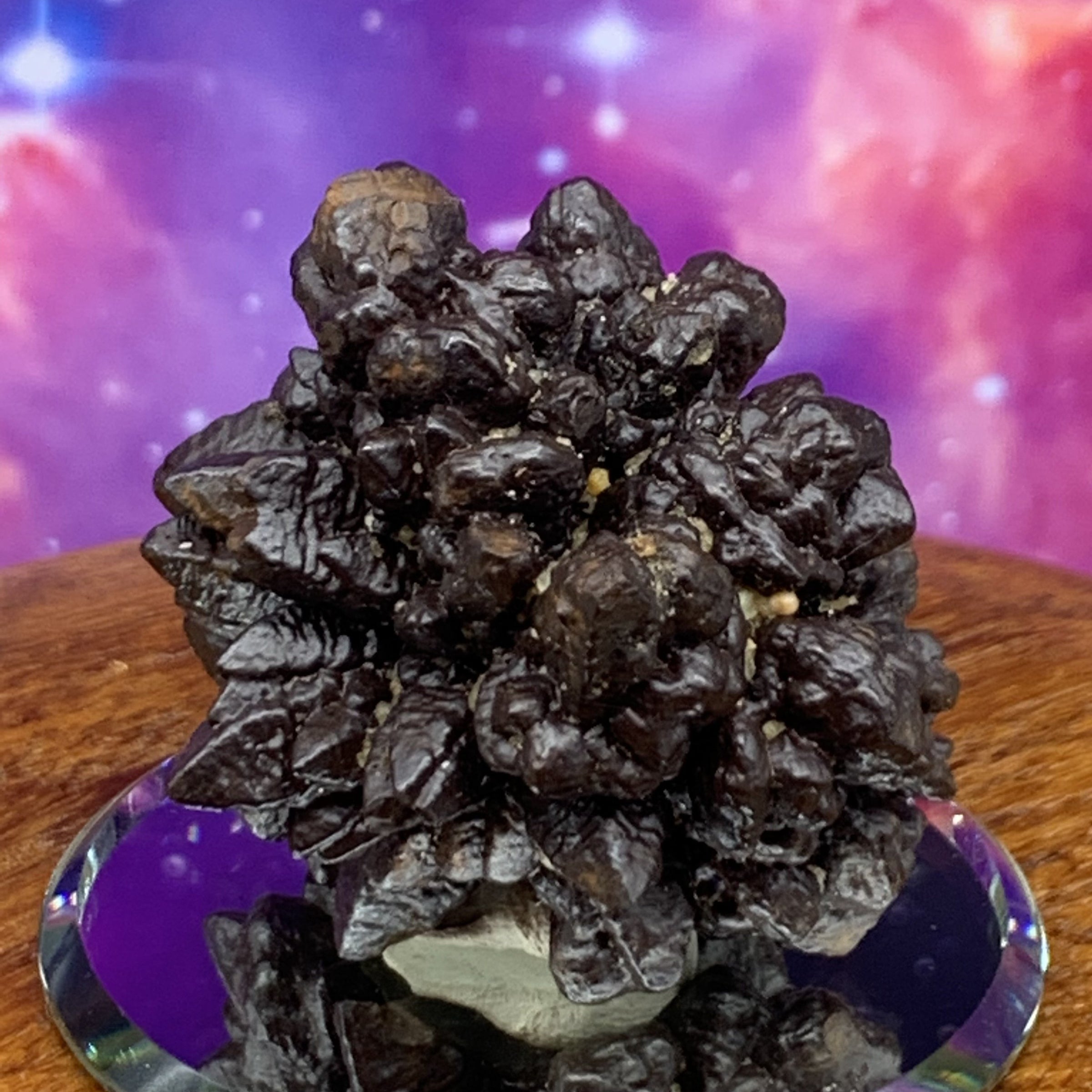 Prophecy Stone 64.3 grams-Moldavite Life