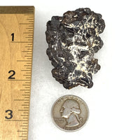 Prophecy Stone 78.2 grams-Moldavite Life