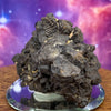 Prophecy Stone 86.9 grams-Moldavite Life