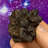 Prophecy Stone 87.6 grams-Moldavite Life