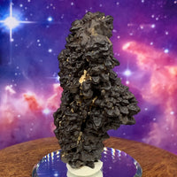 Prophecy Stone 96.6 grams-Moldavite Life