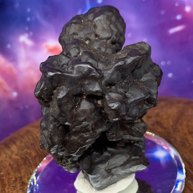 Prophecy Stone 96.7 grams-Moldavite Life