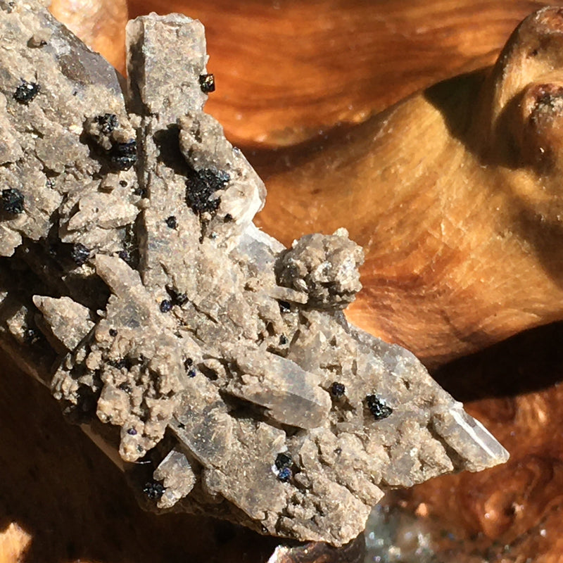 RARE Brookite Crystals in Quartz Matrix-Moldavite Life