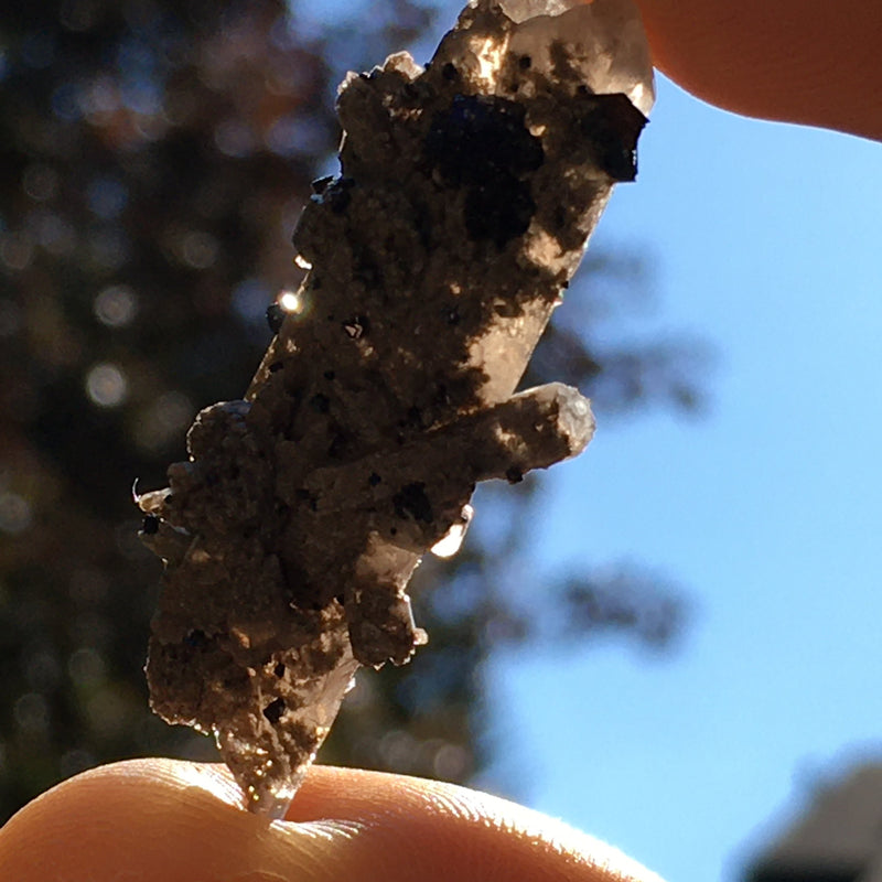 RARE Brookite Crystals in Quartz Matrix-Moldavite Life