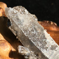 RARE Brookite Crystals in Quartz Matrix-Moldavite Life