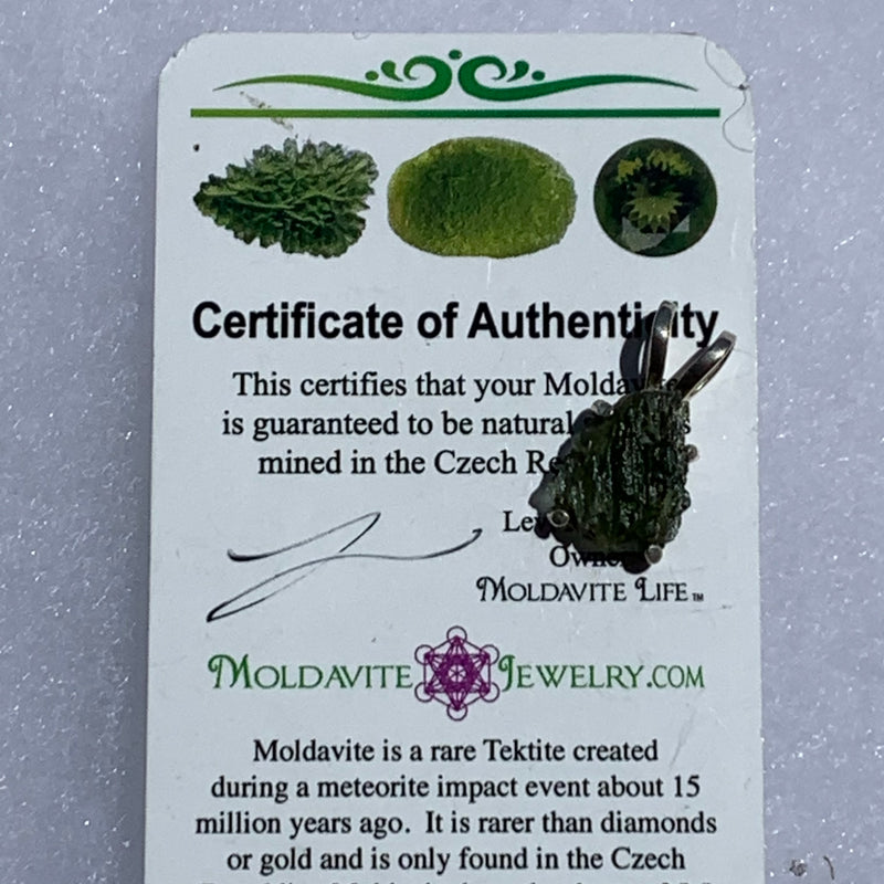 raw moldavite tektite in 4 prong sterling silver basket pendant sitting on moldavite certificate of authenticity for display