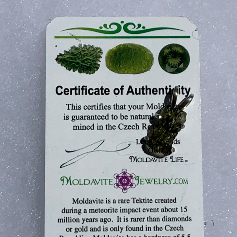 raw moldavite tektite in 4 prong sterling silver basket pendant sitting on top of moldavite certificate of authenticity for display