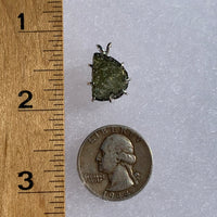 raw moldavite tektite sterling silver basket pendant next to a ruler and US quarter for scale
