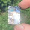 Sericho Pallasite Meteorite #1