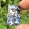 Sericho Pallasite Meteorite #10