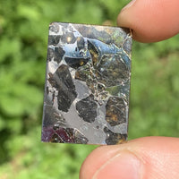 Sericho Pallasite Meteorite #2