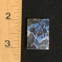 Sericho Pallasite Meteorite #2