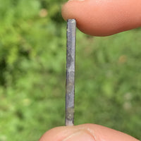 Sericho Pallasite Meteorite #5