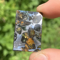 Sericho Pallasite Meteorite #5