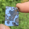 Sericho Pallasite Meteorite #6