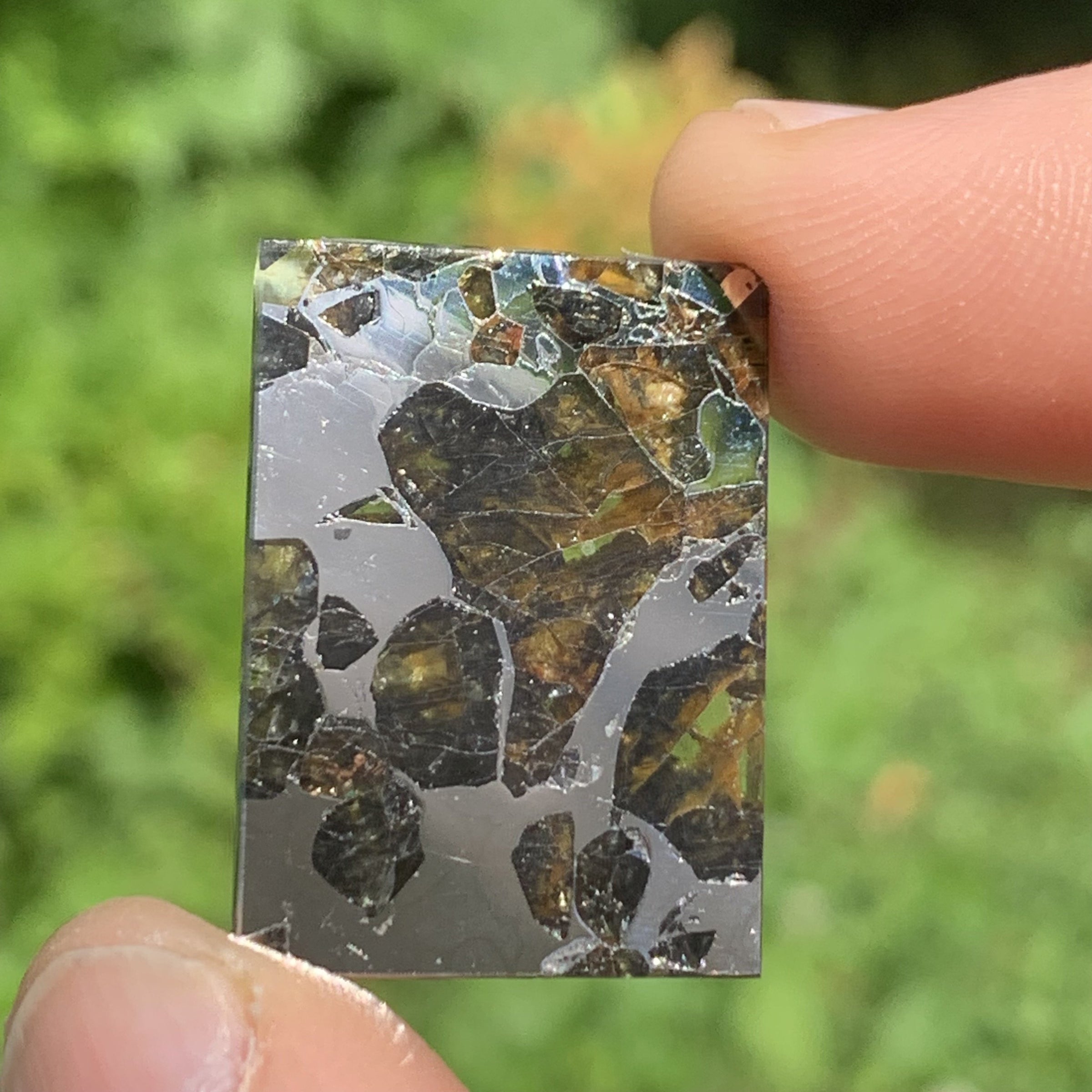 Sericho Pallasite Meteorite #6