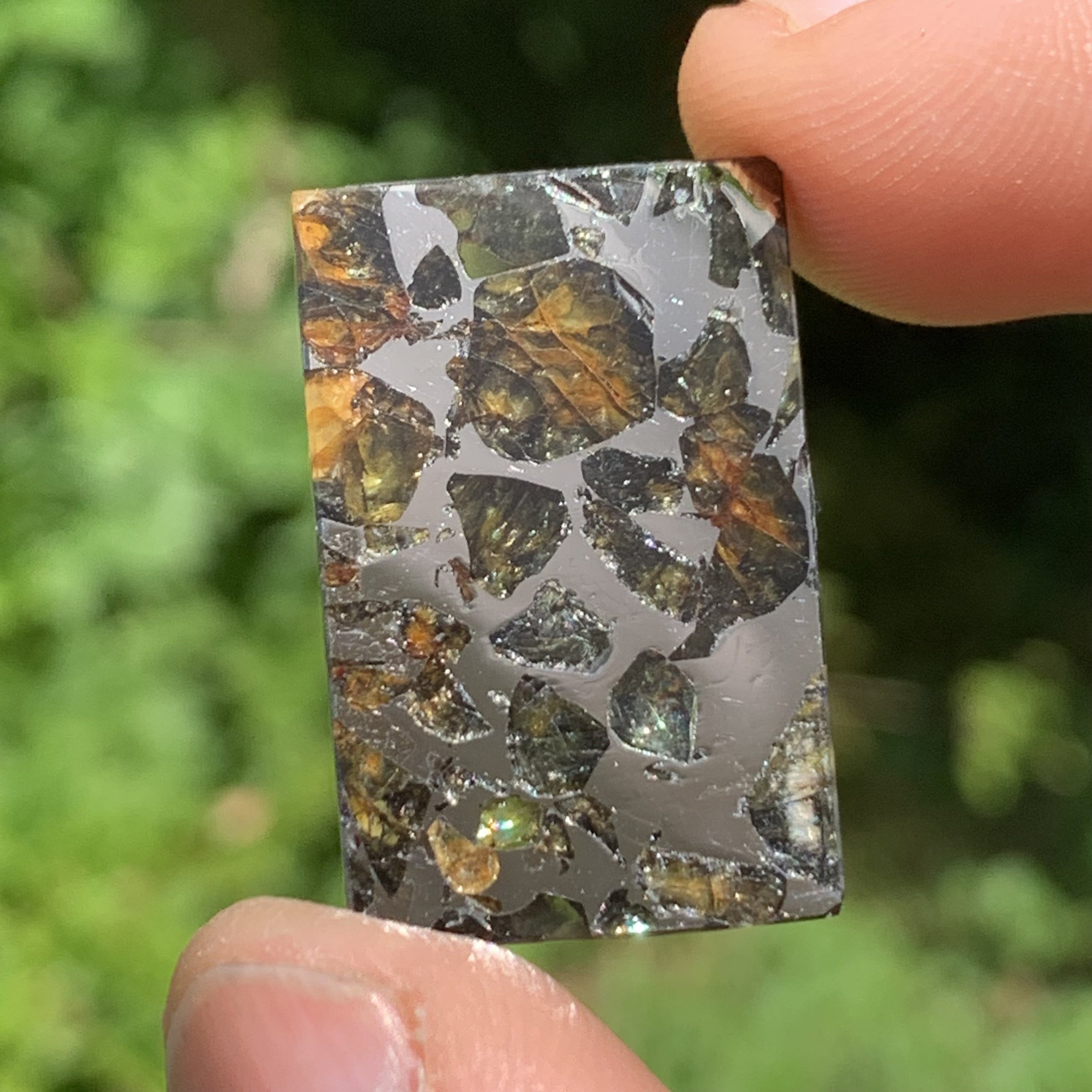 Sericho Pallasite Meteorite #7