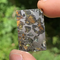 Sericho Pallasite Meteorite #7