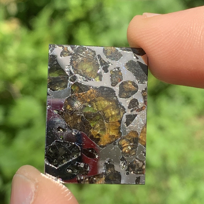 Sericho Pallasite Meteorite #9