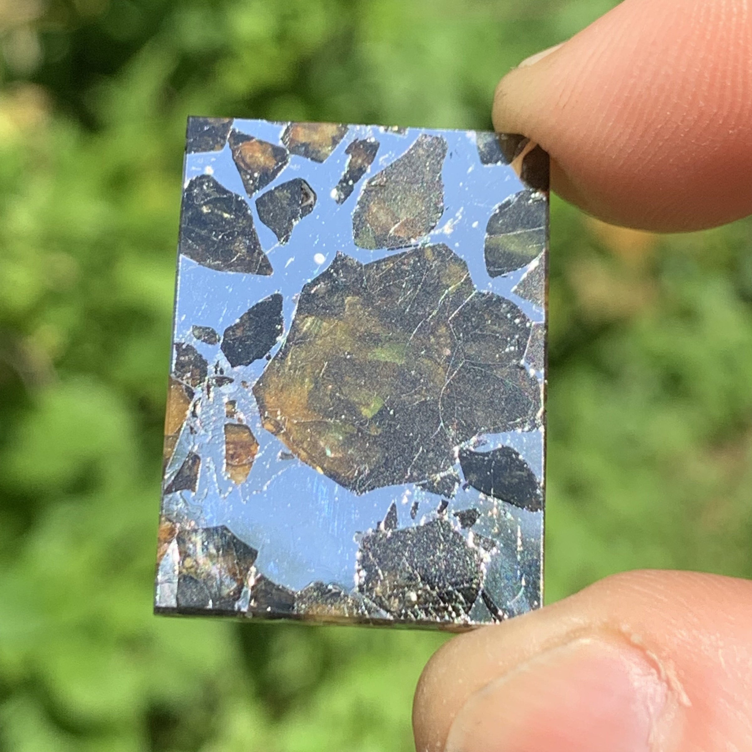 Sericho Pallasite Meteorite #9