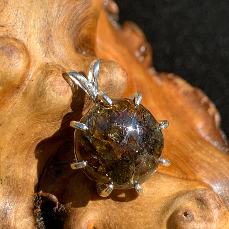 sterling silver sericho pallasite meteorite basket pendant sitting on driftwood for display